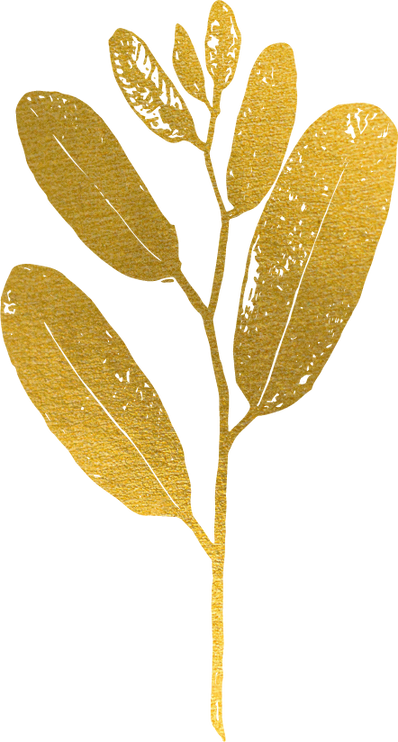 Gold Flora Plant Leaf